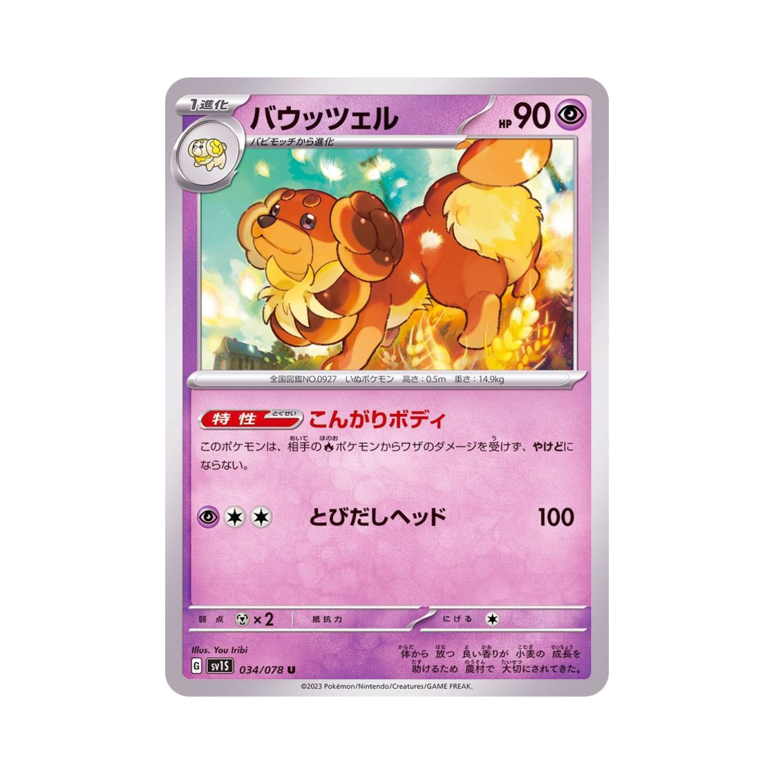 포켓몬 TCG 바우첼 U 스칼렛 ex (일어판)(Pokemon TCG Dachsbun U Scarlet ex (Japanese Ver.)) - 1