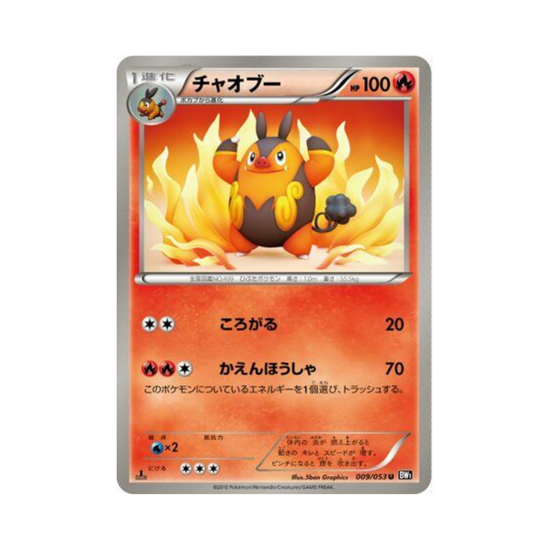 포켓몬 TCG 챠오꿀 U 블랙 컬렉션 퍼스트 에디션 (일어판)(Pokemon TCG Pignite U Black Collection 1st Edition (Japanese Ver.))