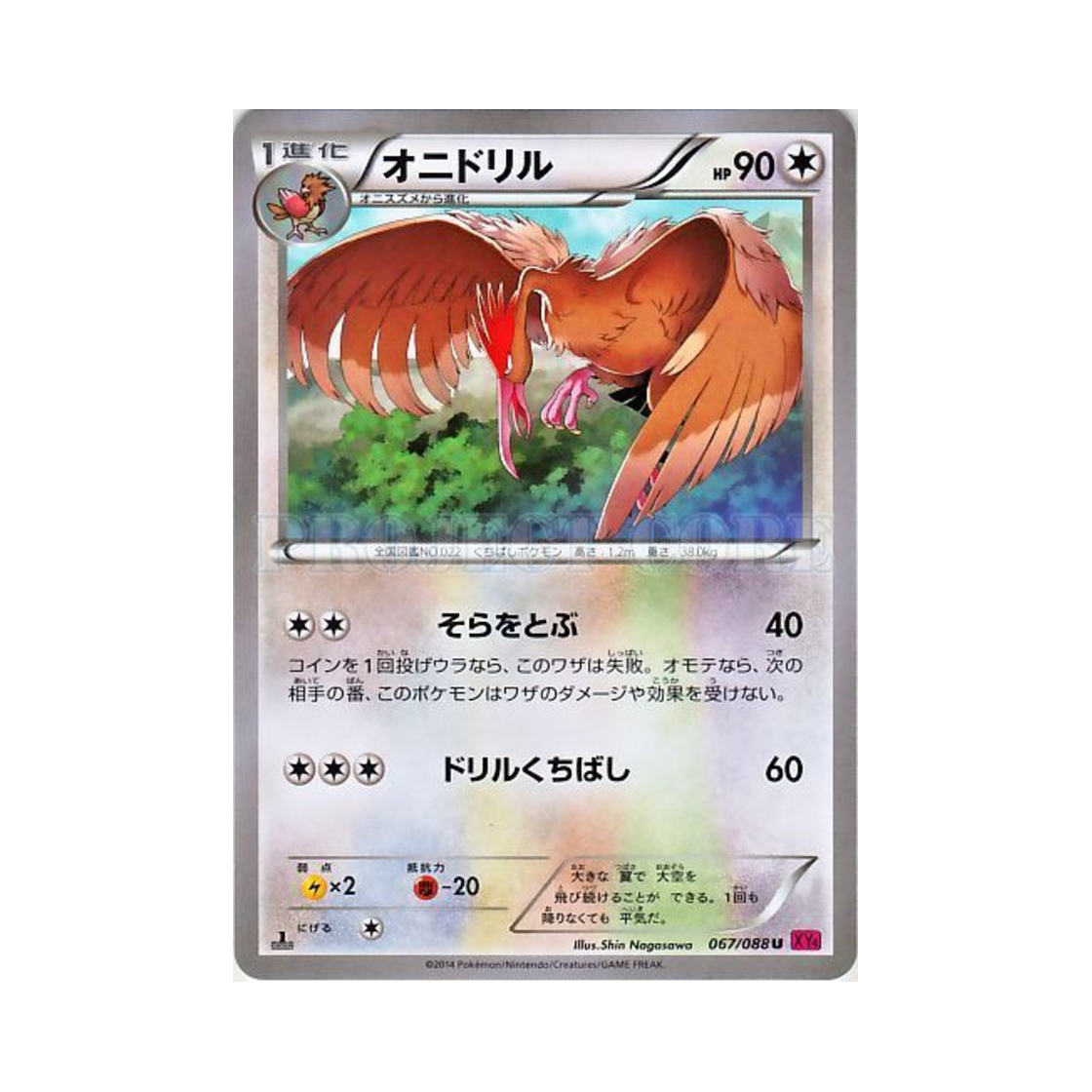 포켓몬 TCG 깨비드릴조 U 팬텀게이트 퍼스트 에디션 (일어판)(Pokemon TCG Fearow U Phantom Gate 1st Edition (Japanese Ver.)) - 1
