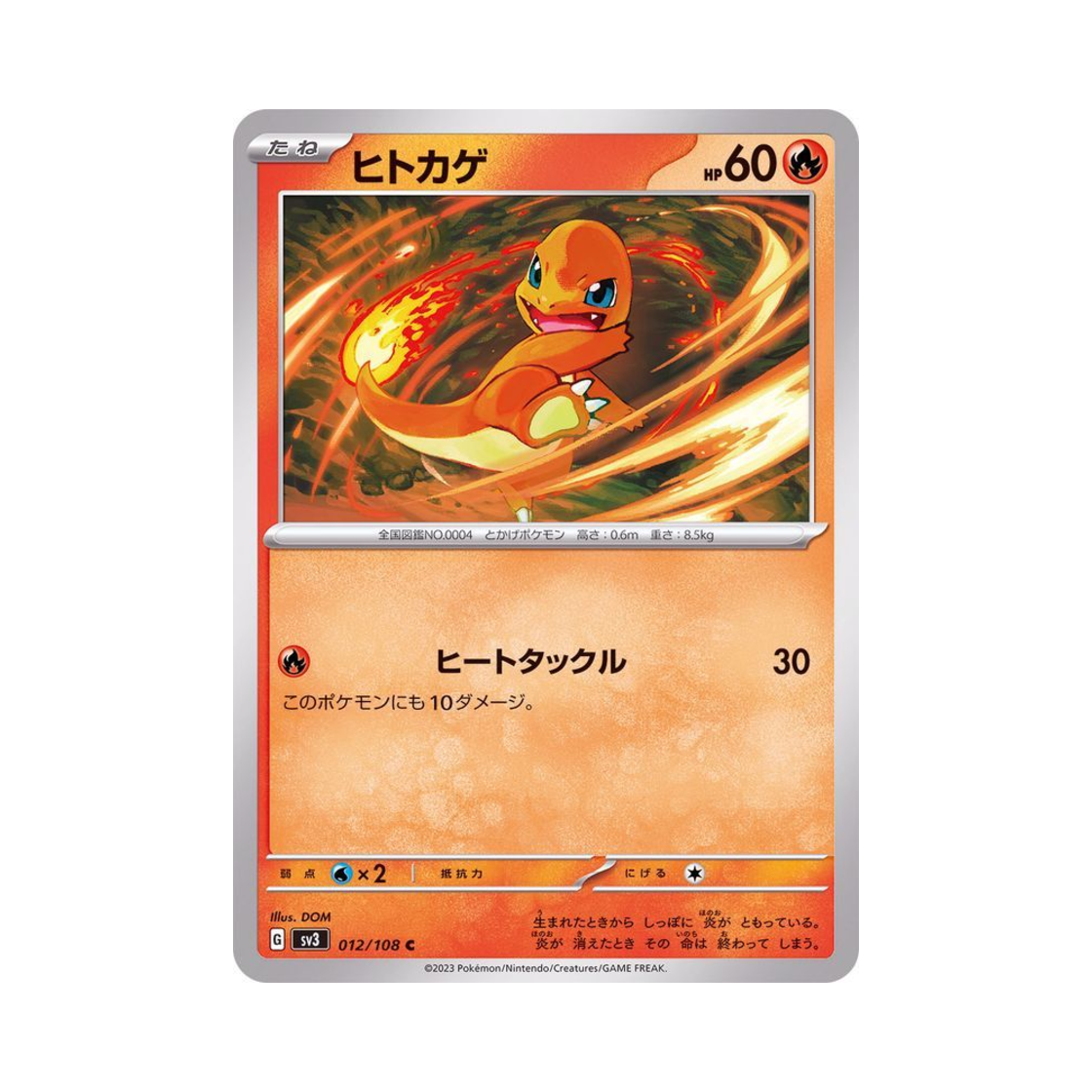포켓몬 TCG 파이리 C 흑염의 지배자 (일어판) | Pokemon TCG | KREAM