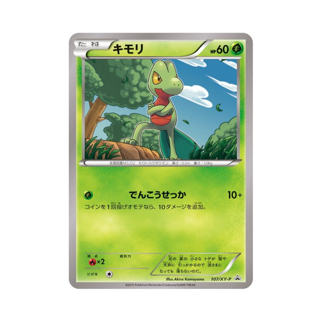 포켓몬 TCG 나무지기 P XY 프로모 카드 (일어판)(Pokemon TCG Treecko P XY Promos (Japanese Ver.))