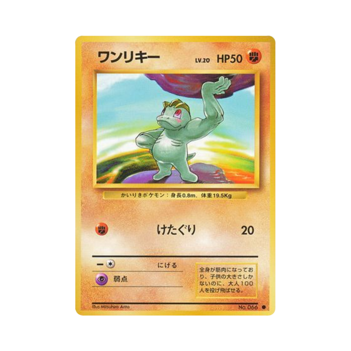포켓몬 TCG 알통몬 C 익스팬션 팩 (일어판)(Pokemon TCG Machop C Expansion Pack (Japanese Ver.)) - 1