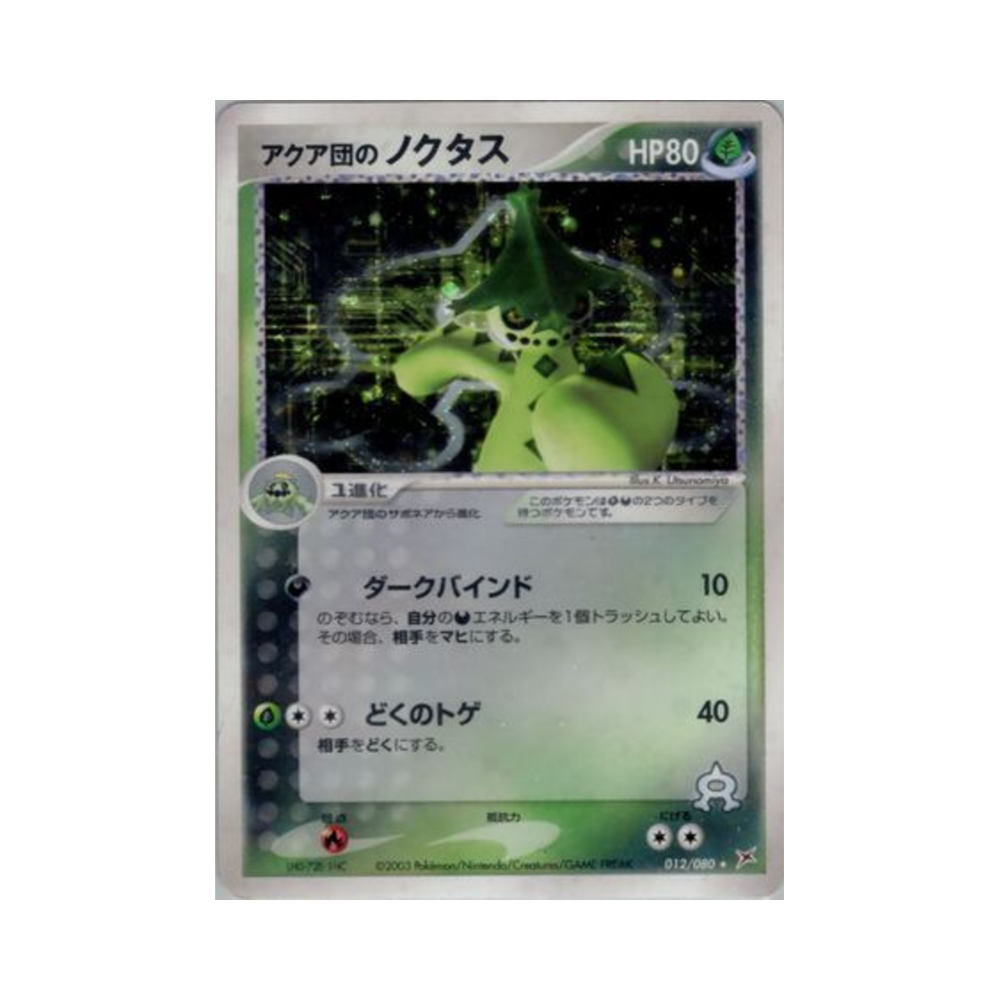 포켓몬 TCG 아쿠아단의 밤선인 R 마그마 VS 아쿠아: 두 야망(일어판)(Pokemon TCG Team Aqua's Cacturne R Magma Vs Aqua: Two Ambitions (Japanese Ver.)) - 1