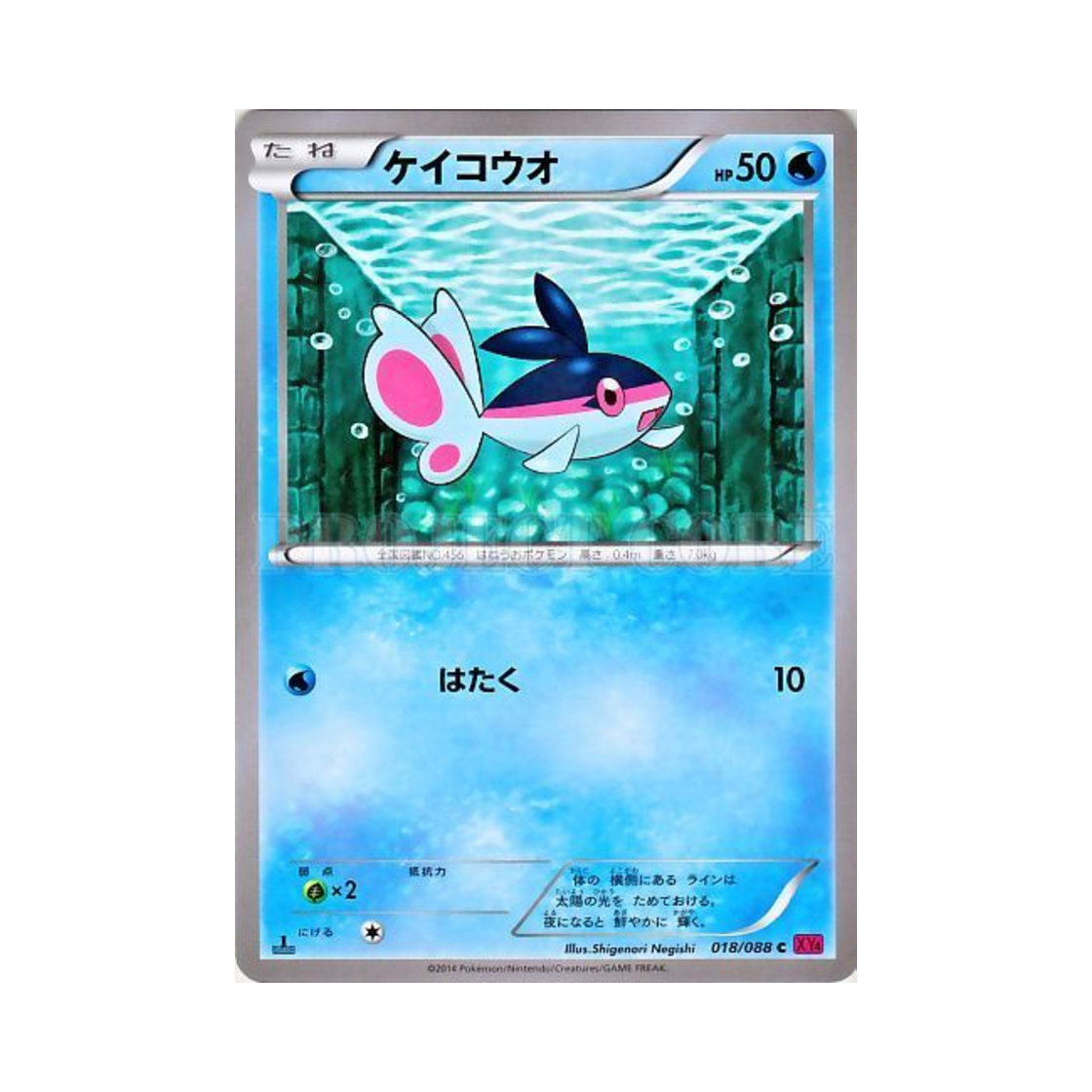 포켓몬 TCG 형광어 C 팬텀게이트 퍼스트 에디션 (일어판)(Pokemon TCG Finneon C Phantom Gate 1st Edition (Japanese Ver.)) - 1