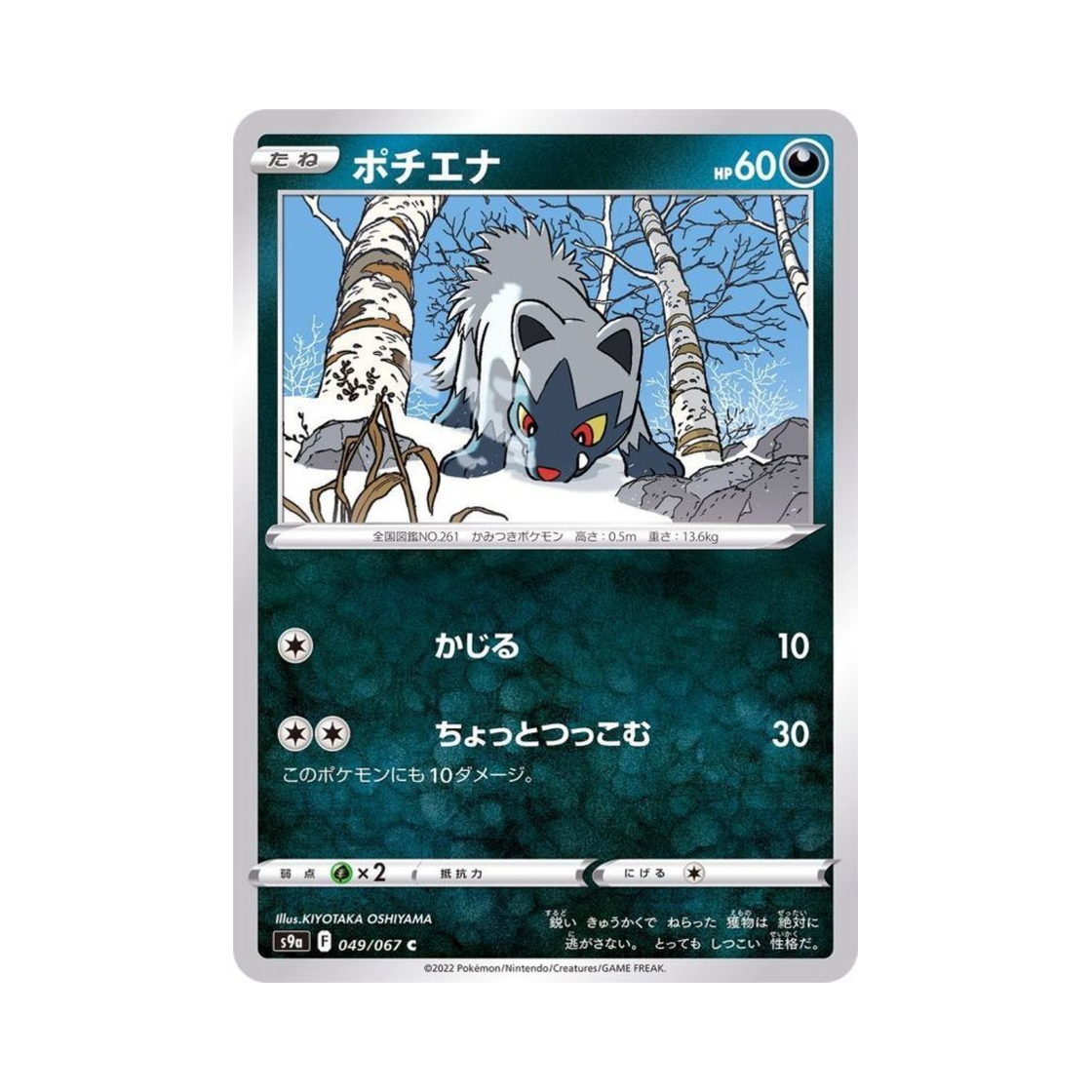 포켓몬 TCG 포챠나 C 배틀리전 (일어판)(Pokemon TCG Poochyena C Battle Region (Japanese Ver.)) - 1