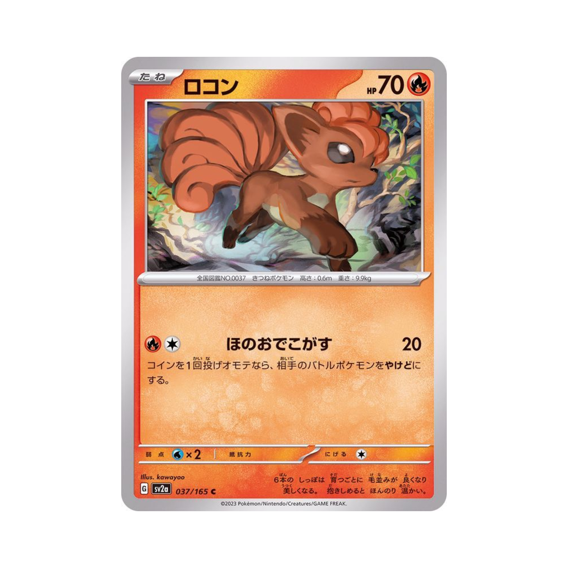 포켓몬 TCG 식스테일 C 포켓몬 카드 151 (일어판)(Pokemon TCG Vulpix C Pokemon Card 151 (Japanese Ver.)) - 1