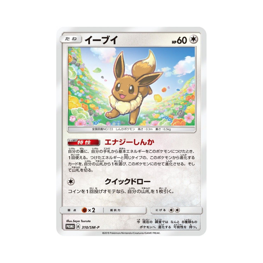 포켓몬 TCG 이브이 P 썬&문 프로모 카드 (일어판)(Pokemon TCG Eevee P Sun & Moon Promos (Japanese Ver.)) - 1