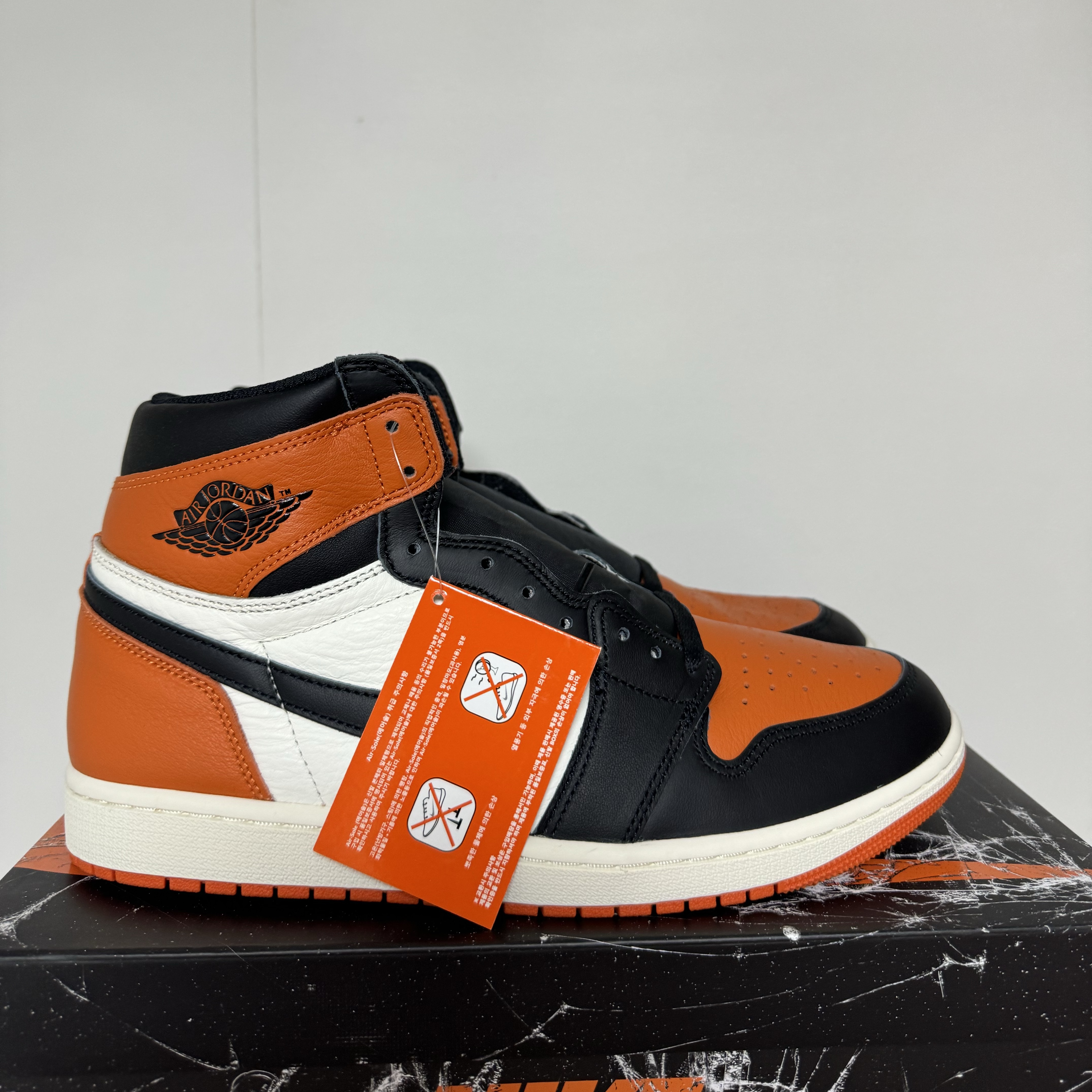 Jordan 1 Retro High OG Shattered Backboard 착용 스타일