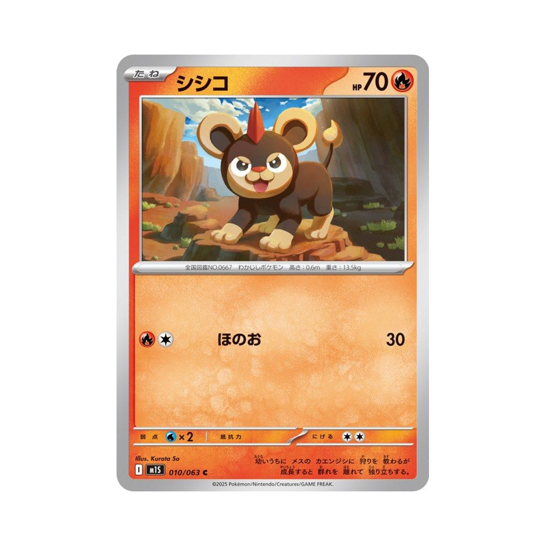 포켓몬 TCG 레오꼬 C 메가심포니아 (일어판)(Pokemon TCG Litleo C Mega Symphonia (Japanese Ver.))