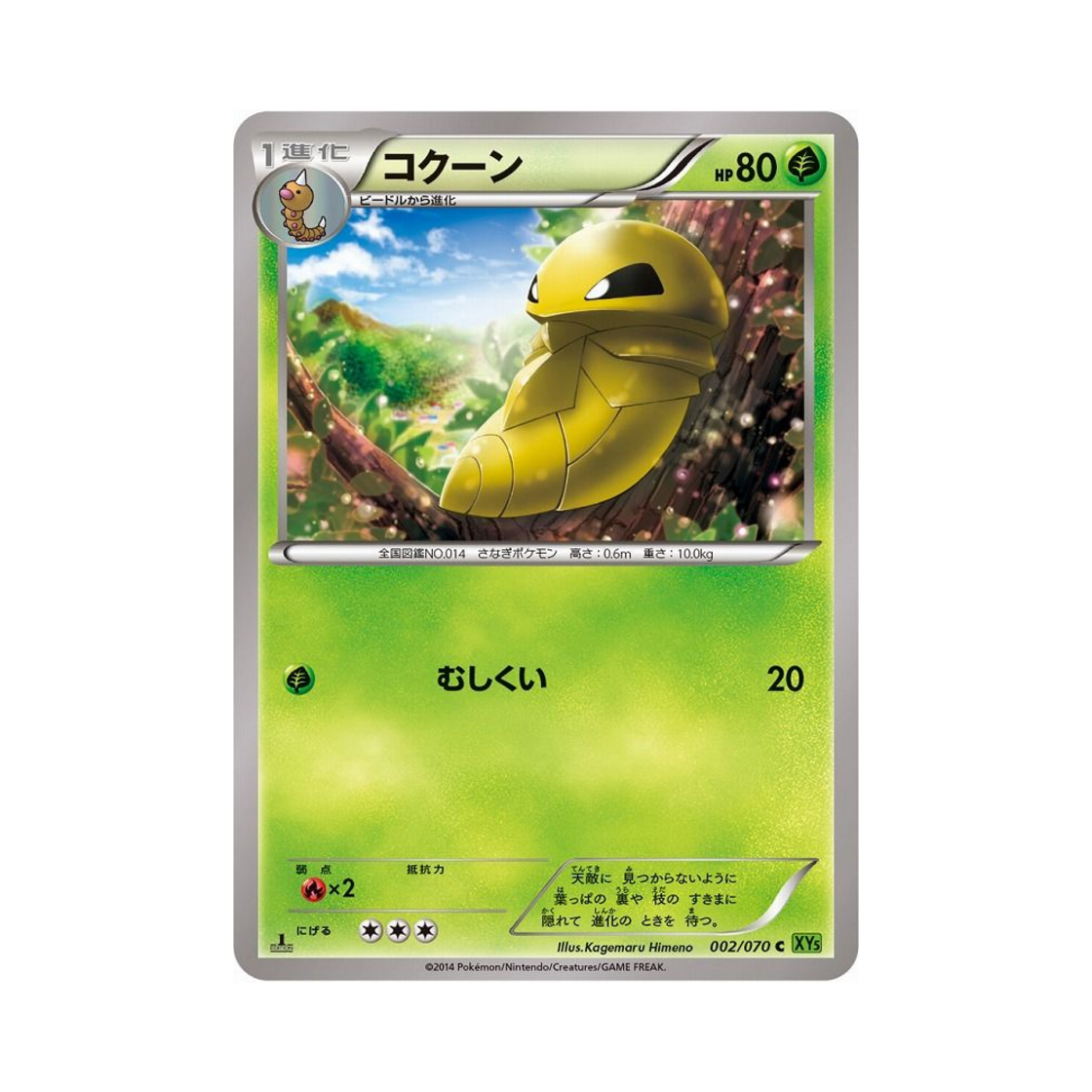 포켓몬 TCG 딱충이 C 타이달스톰 퍼스트 에디션 (일어판)(Pokemon TCG Kakuna C Tidal Storm 1st Edition (Japanese Ver.)) - 1