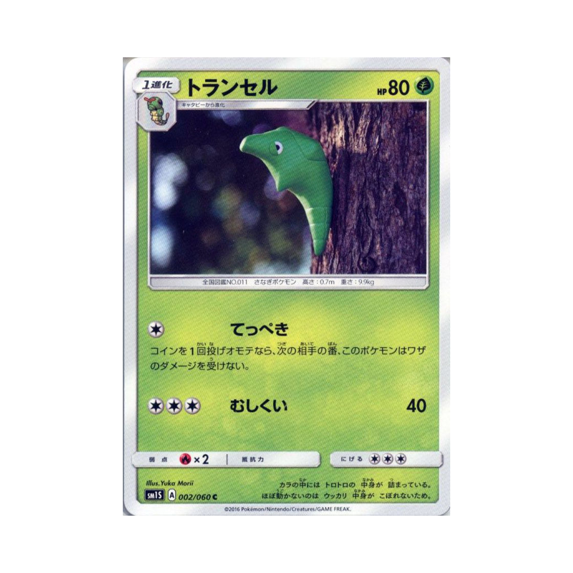 포켓몬 TCG 단데기 C 썬 컬렉션 (일어판)(Pokemon TCG Metapod C Collection Sun (Japanese Ver.)) - 1