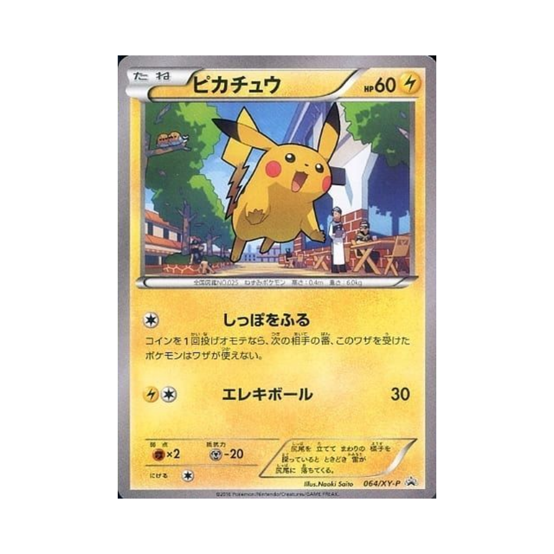 PROMO064-XY-P Pokemon TCG Pikachu P XY Promos (Japanese Ver.)