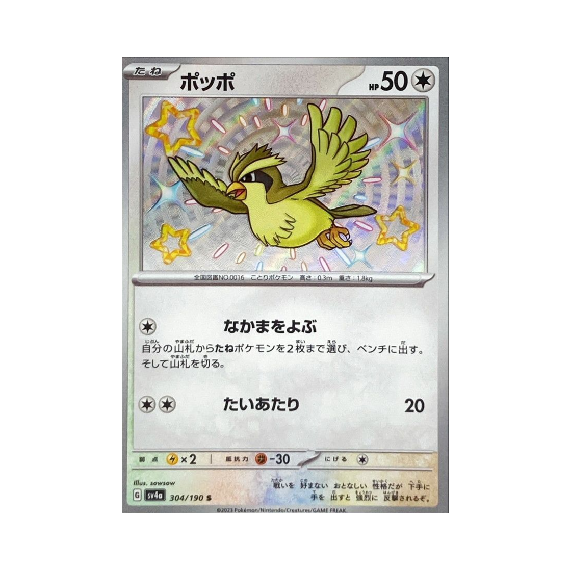 포켓몬 TCG 구구 S 샤이니 트레져 ex (일어판)(Pokemon TCG Pidgey S Shiny Treasure ex (Japanese Ver.)) - 1