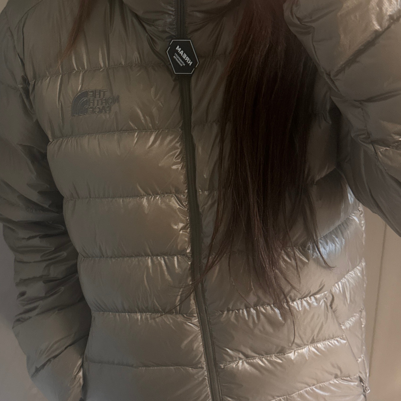 The North Face Matier EX RDS Down Hoodie Beige Brown - 25FW 착용 스타일