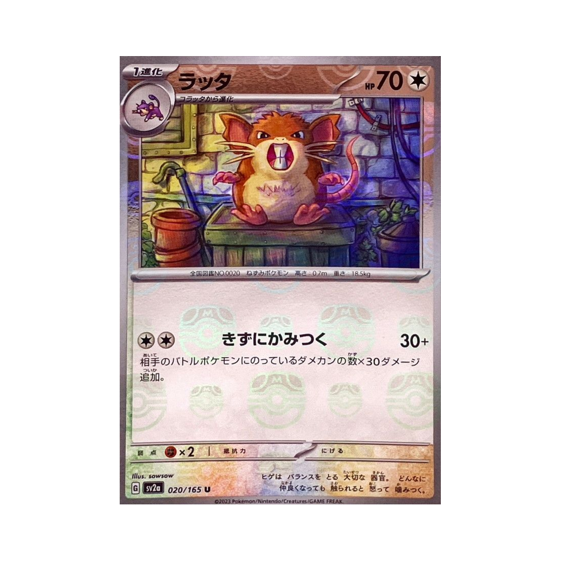 포켓몬 TCG 레트라 U 마스터볼 미러 포켓몬 카드 151 (일어판)(Pokemon TCG Raticate U Masterball Mirror Pokemon Card 151 (Japanese Ver.)) - 1