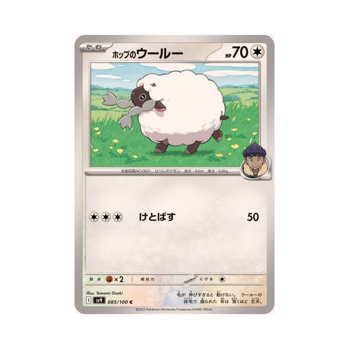 포켓몬 TCG 호브의 우르 C 배틀 파트너즈 (일어판)(Pokemon TCG Hop's Wooloo C Battle Partners (Japanese Ver.)) - 1