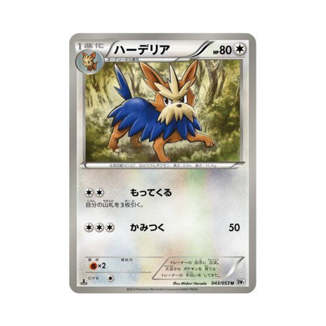 포켓몬 TCG 하데리어 U 화이트 컬렉션 퍼스트 에디션 (일어판)(Pokemon TCG Herdier U White Collection 1st Edition (Japanese Ver.)) - 1
