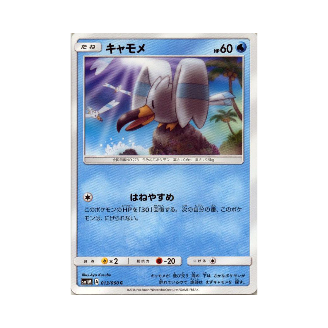 포켓몬 TCG 갈모매 C 문 컬렉션 (일어판)(Pokemon TCG Wingull C Collection Moon (Japanese Ver.)) - 1