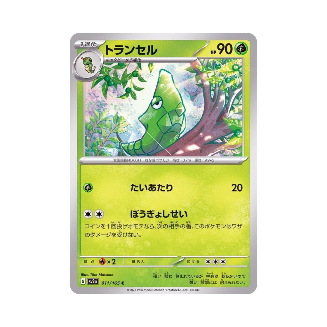 포켓몬 TCG 단데기 C 포켓몬 카드 151 (일어판)(Pokemon TCG Metapod C Pokemon Card 151 (Japanese Ver.))