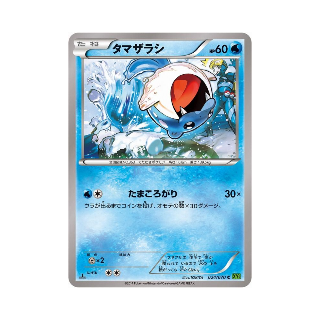 포켓몬 TCG 대굴레오 C 타이달스톰 퍼스트 에디션 (일어판)(Pokemon TCG Spheal C Tidal Storm 1st Edition (Japanese Ver.)) - 1