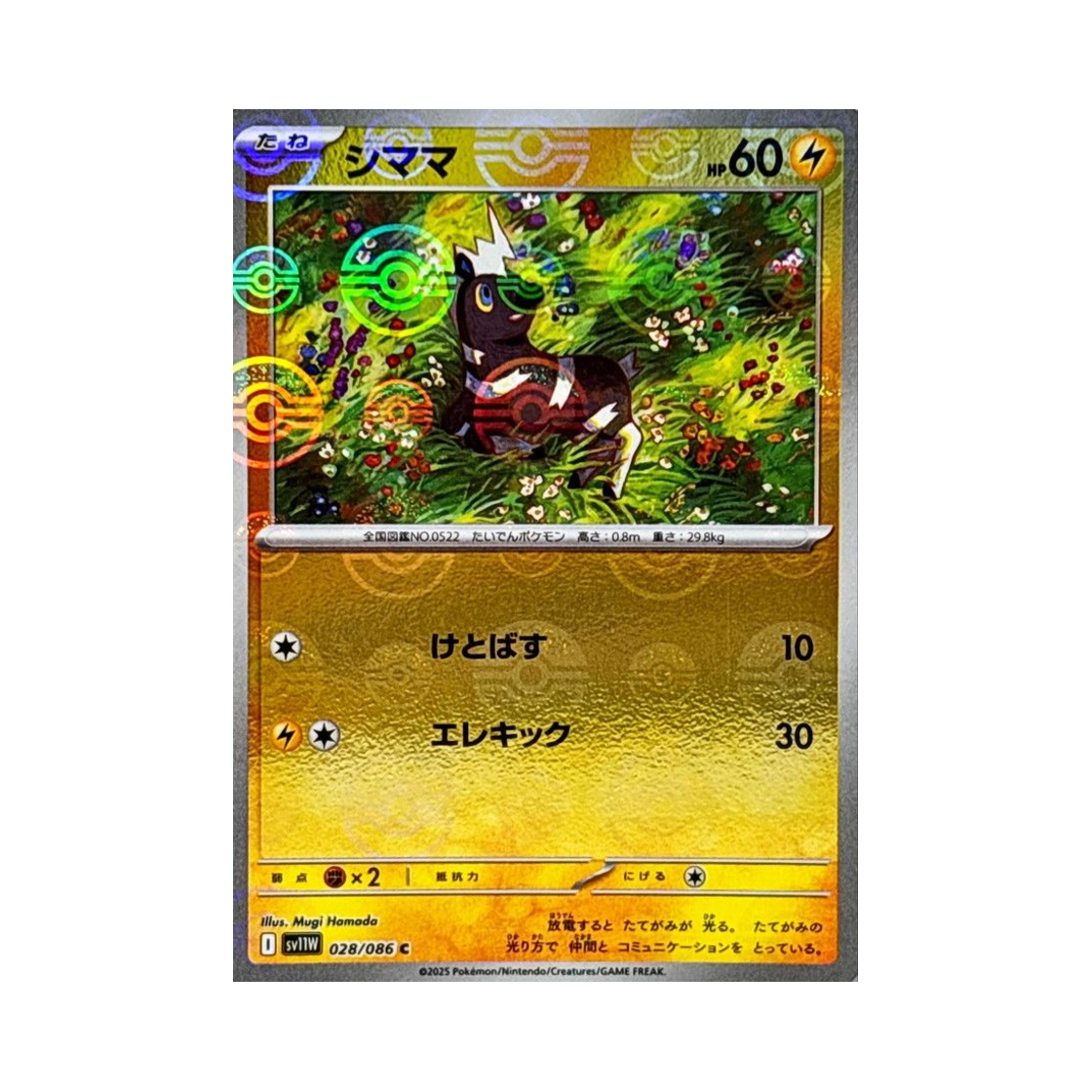 포켓몬 TCG 줄뮤마 C 몬스터볼 미러 화이트 플레어 (일어판)(Pokemon TCG Blitzle C Monsterball Mirror White Flare (Japanese Ver.)) - 1