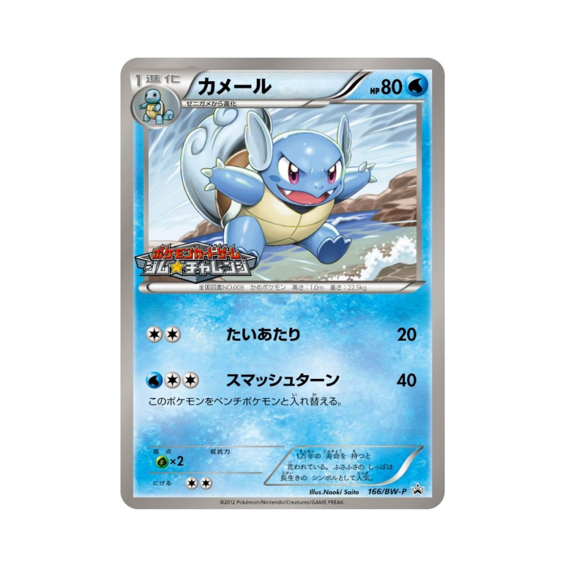 포켓몬 TCG 어니부기 P 블랙 & 화이트 프로모카드 (일어판)(Pokemon TCG Wartortle P Black & White Promos (Japanese Ver.)) - 1