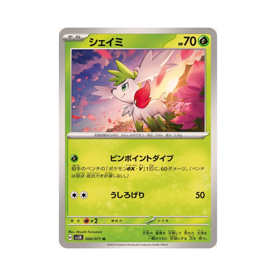 포켓몬 TCG 쉐이미 U 와일드 포스 (일어판)(Pokemon TCG Shaymin U Wild Force (Japanese Ver.)) - 1