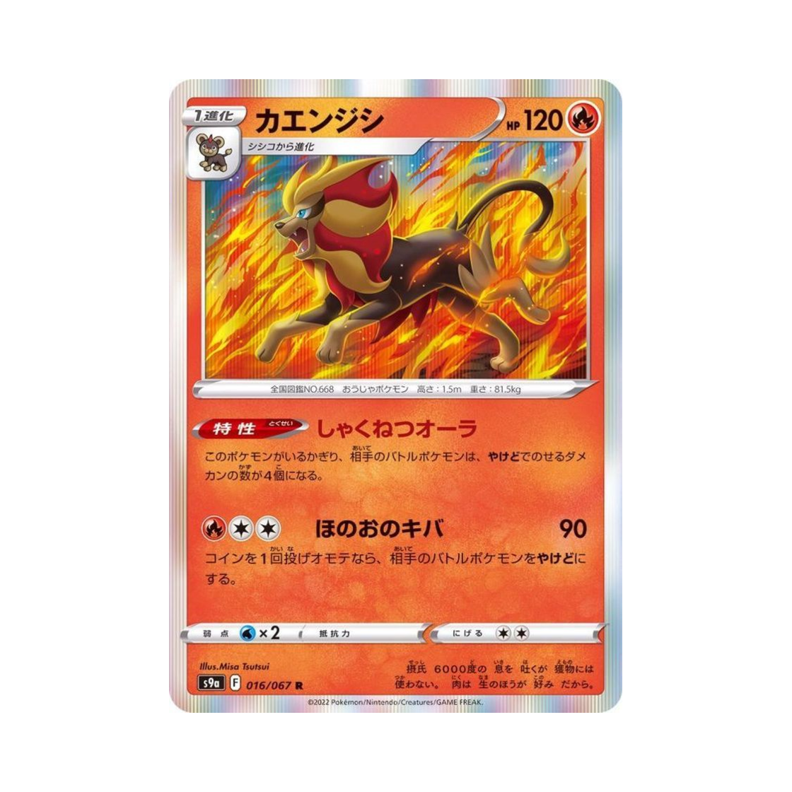 포켓몬 TCG 화염레오 R 배틀리전 (일어판)(Pokemon TCG Pyroar R Battle Region (Japanese Ver.))