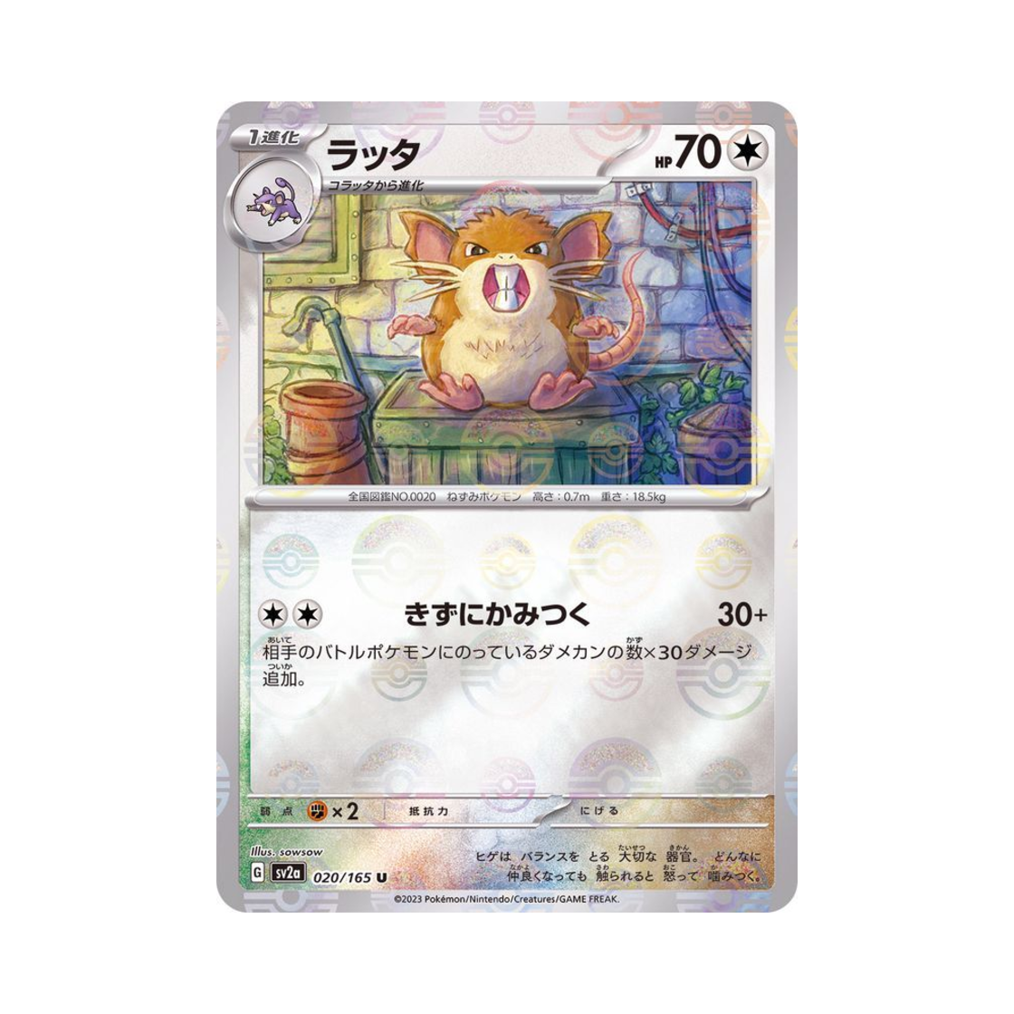 포켓몬 TCG 레트라 U 몬스터볼 미러 포켓몬 카드 151 (일어판)(Pokemon TCG Raticate U Monsterball Mirror Pokemon Card 151 (Japanese Ver.)) - 1