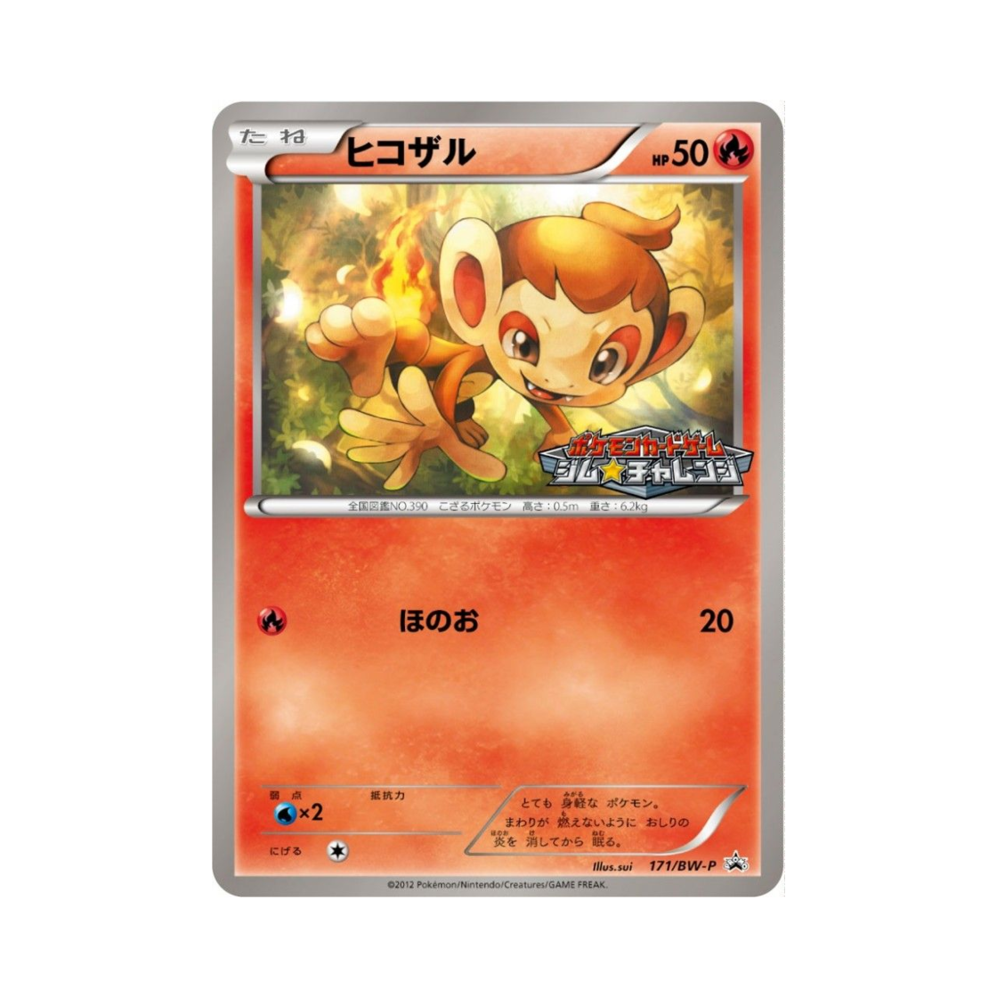 TCG P & () | Pokemon TCG | KREAM TCG P & () | Pokemon TCG | KREAM