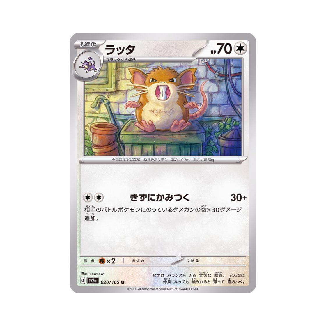 포켓몬 TCG 레트라 U 포켓몬 카드 151 (일어판)(Pokemon TCG Raticate U Pokemon Card 151 (Japanese Ver.)) - 1