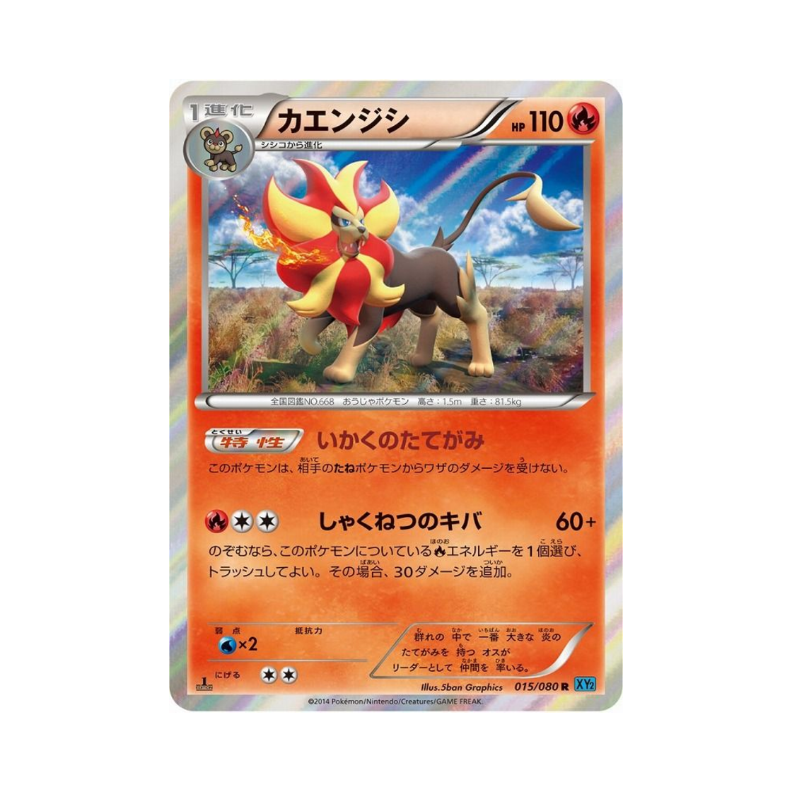 포켓몬 TCG 화염레오 R 와일드 블레이즈 퍼스트 에디션 (일어판)(Pokemon TCG Pyroar R Wild Blaze 1st Edition (Japanese Ver.))