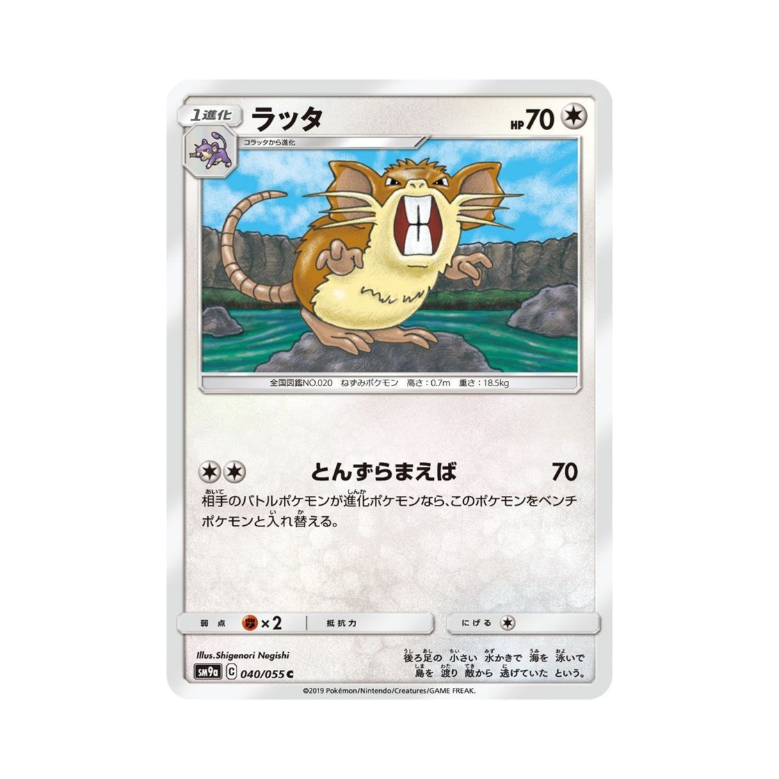 포켓몬 TCG 레트라 C 나이트유니슨 (일어판)(Pokemon TCG Raticate C Night Unison (Japanese Ver.)) - 1