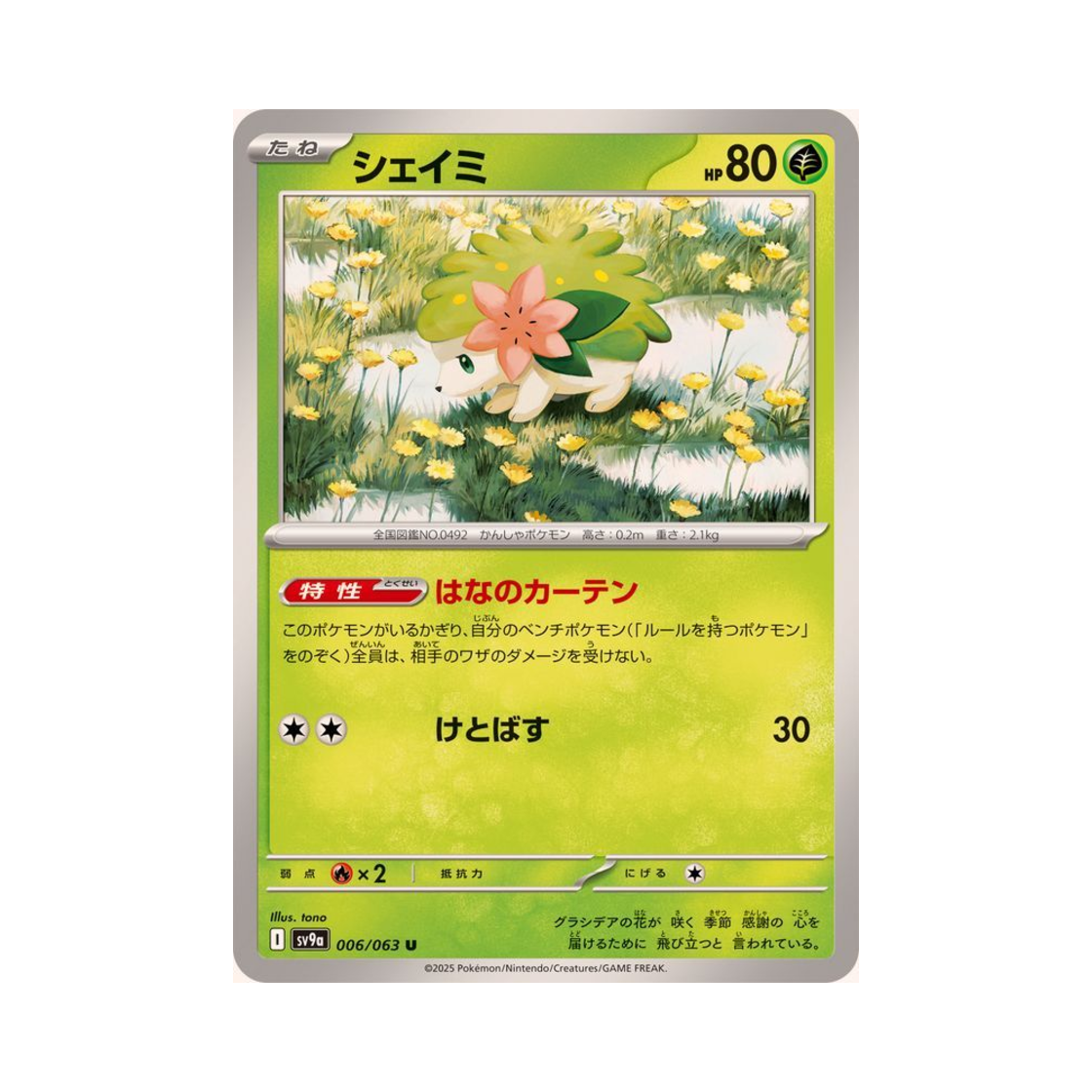포켓몬 TCG 쉐이미 U 열풍의 아레나 (일어판)(Pokemon TCG Shaymin U Hot Air Arena (Japanese Ver.)) - 1