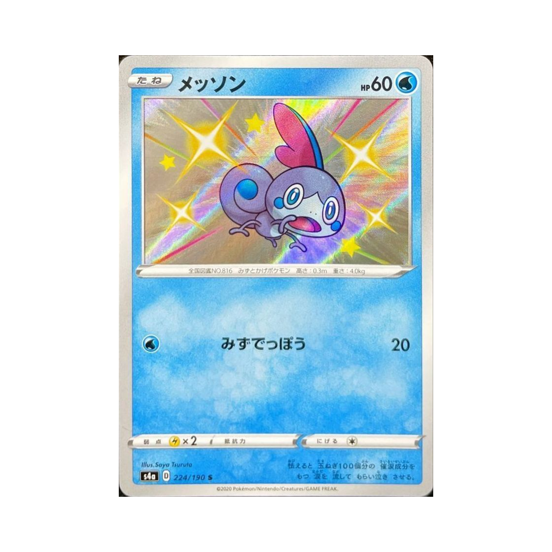 포켓몬 TCG 울머기 S 샤이니스타 V (일어판)(Pokemon TCG Sobble S Shiny Star V (Japanese Ver.))
