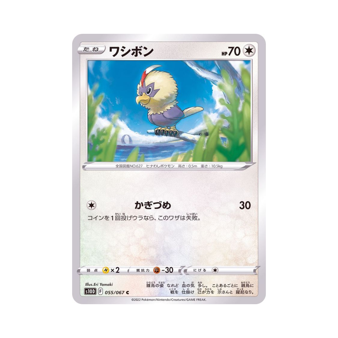 포켓몬 TCG 수리둥보 C 타임게이저 (일어판)(Pokemon TCG Rufflet C Time Gazer (Japanese Ver.))