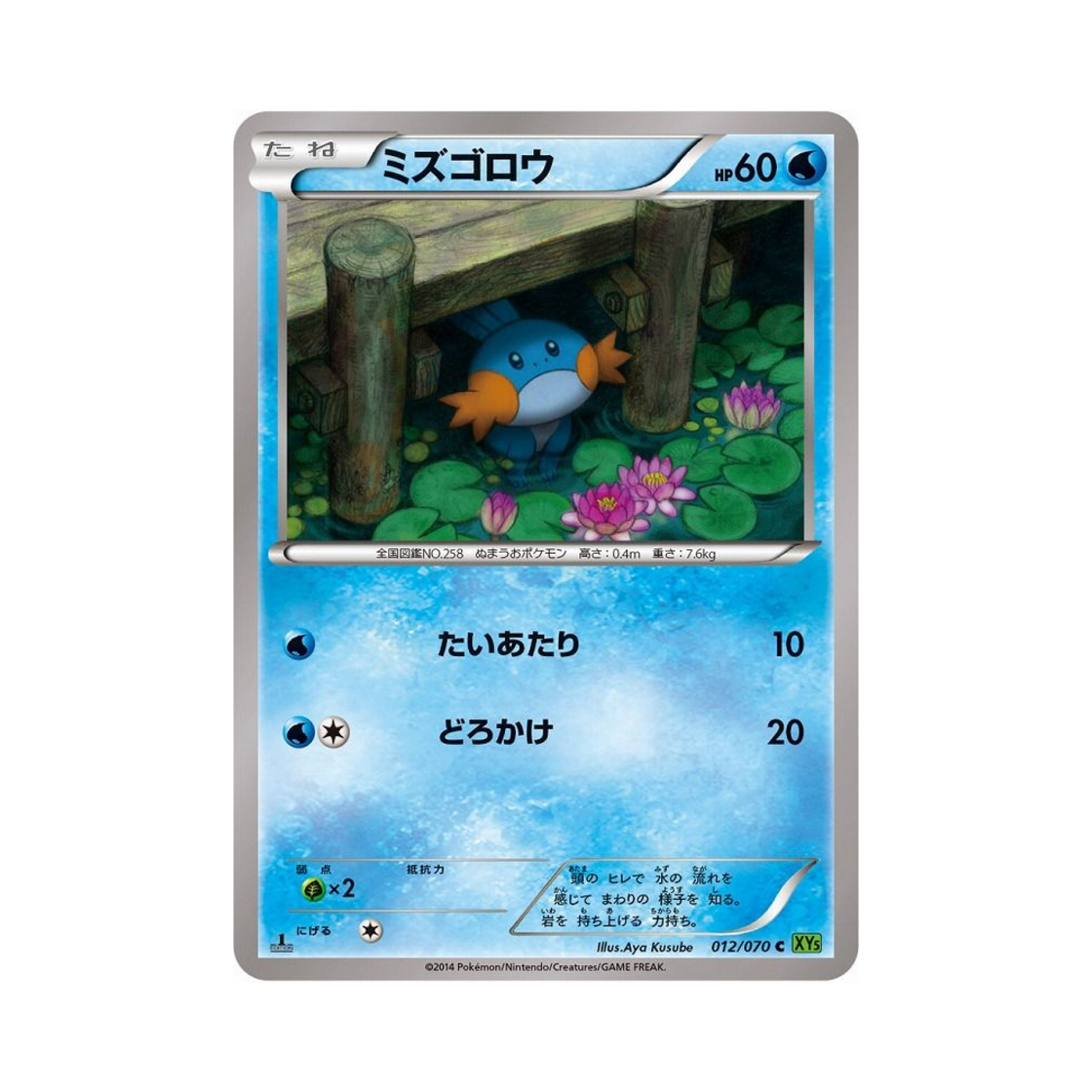 XY5T-012-070 Pokemon TCG Mudkip C Tidal Storm 1st Edition (Japanese Ver.)