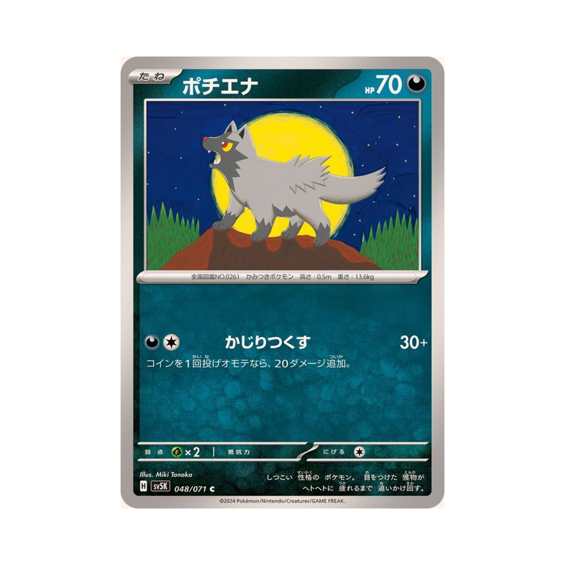 포켓몬 TCG 포챠나 C 와일드 포스 (일어판)(Pokemon TCG Poochyena C Wild Force (Japanese Ver.)) - 1
