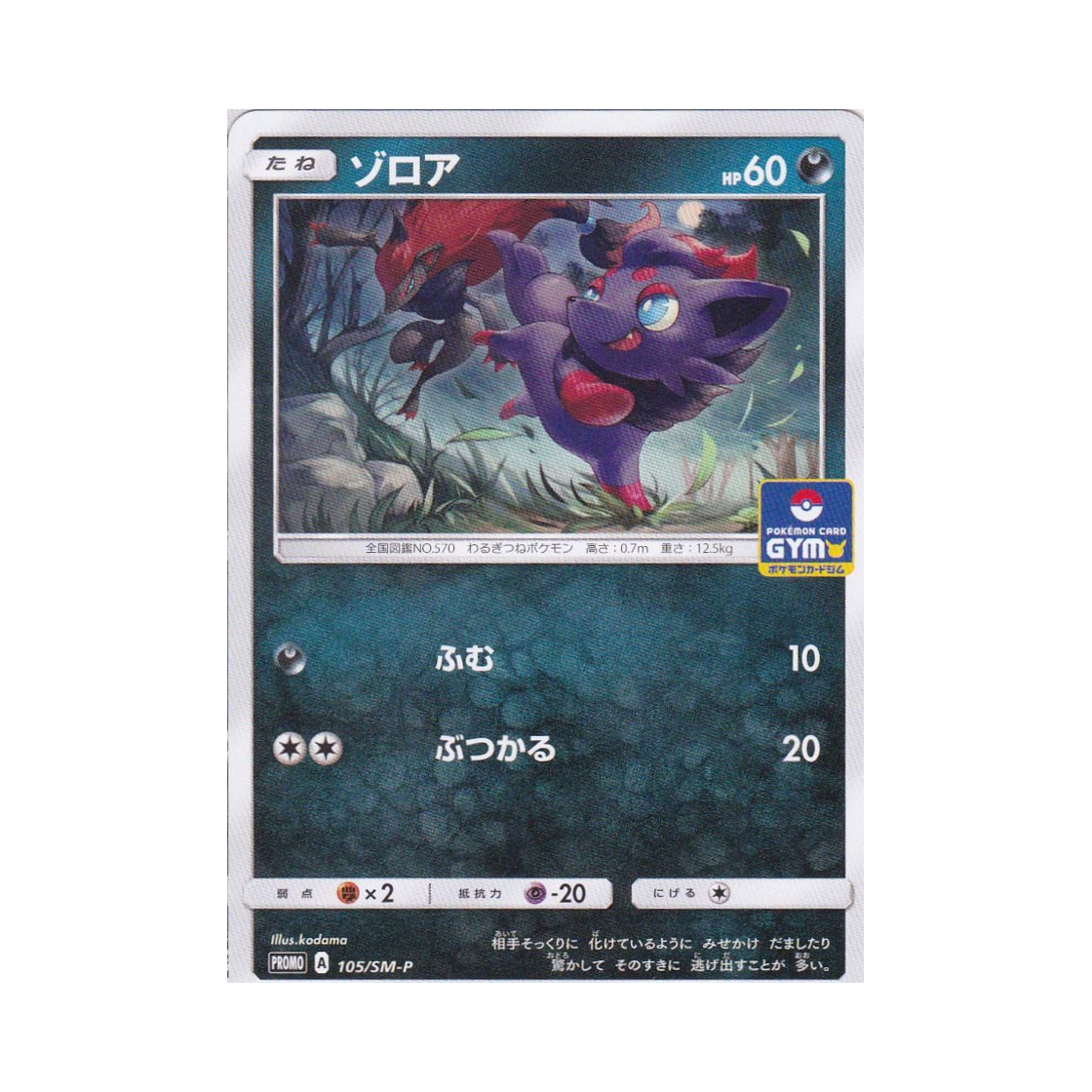포켓몬 TCG 조로아 P 썬&문 프로모 카드 (일어판)(Pokemon TCG Zorua P Sun & Moon Promos (Japanese Ver.)) - 1