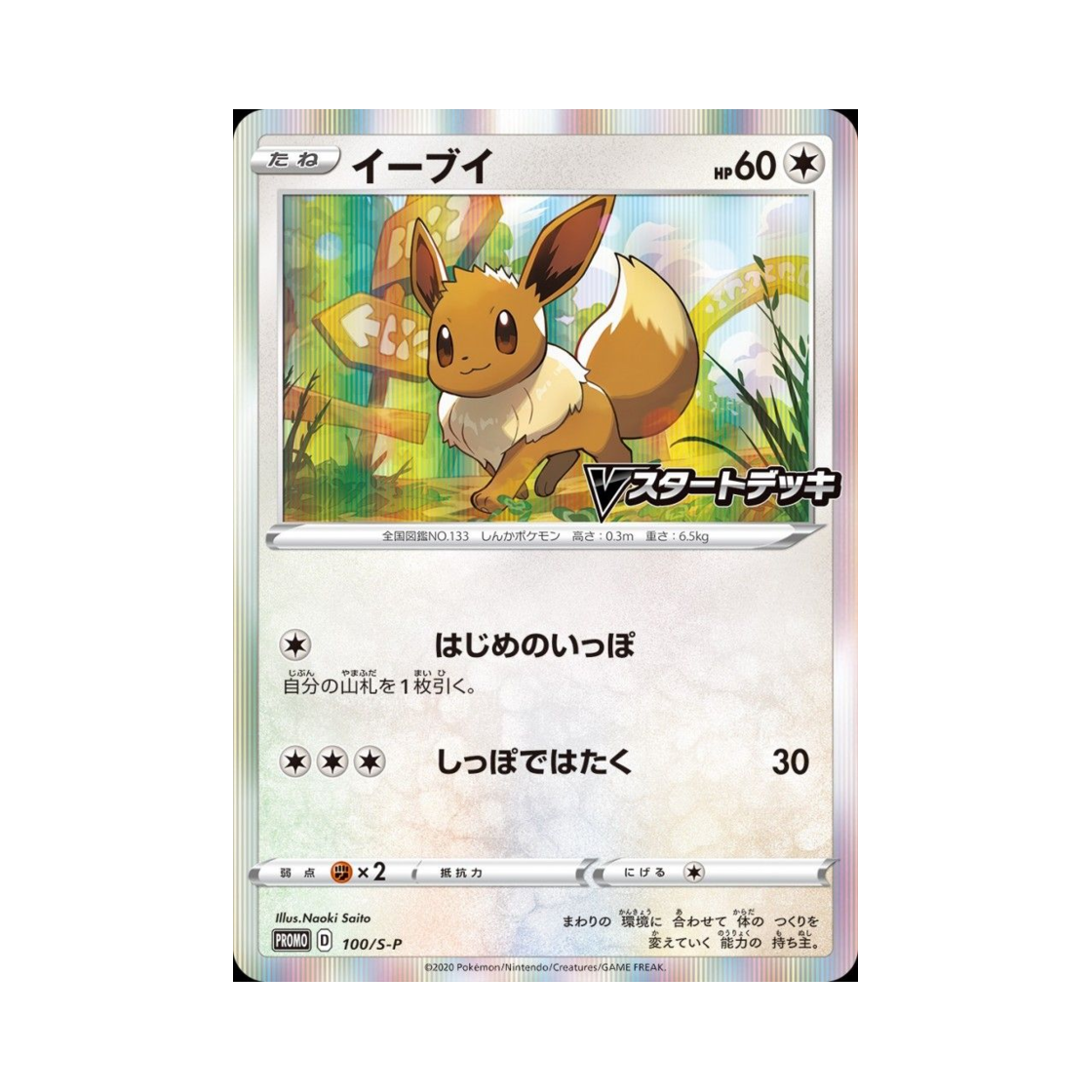 PROMO100-S-P Pokemon TCG Eevee P Sword & Shield Promos (Japanese Ver.)