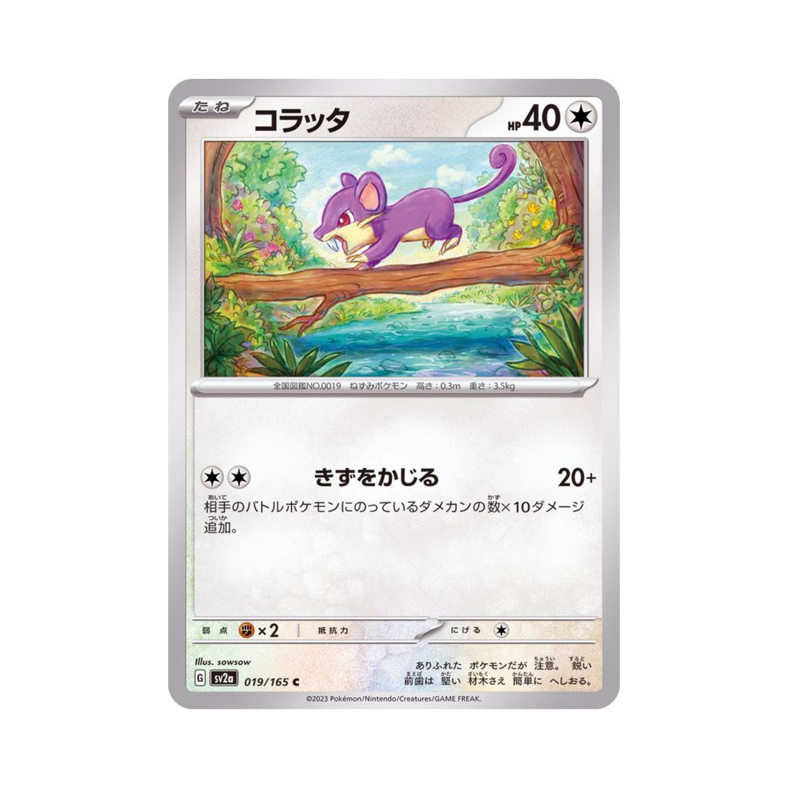 포켓몬 TCG 꼬렛 C 포켓몬 카드 151 (일어판)(Pokemon TCG Rattata C Pokemon Card 151 (Japanese Ver.)) - 1