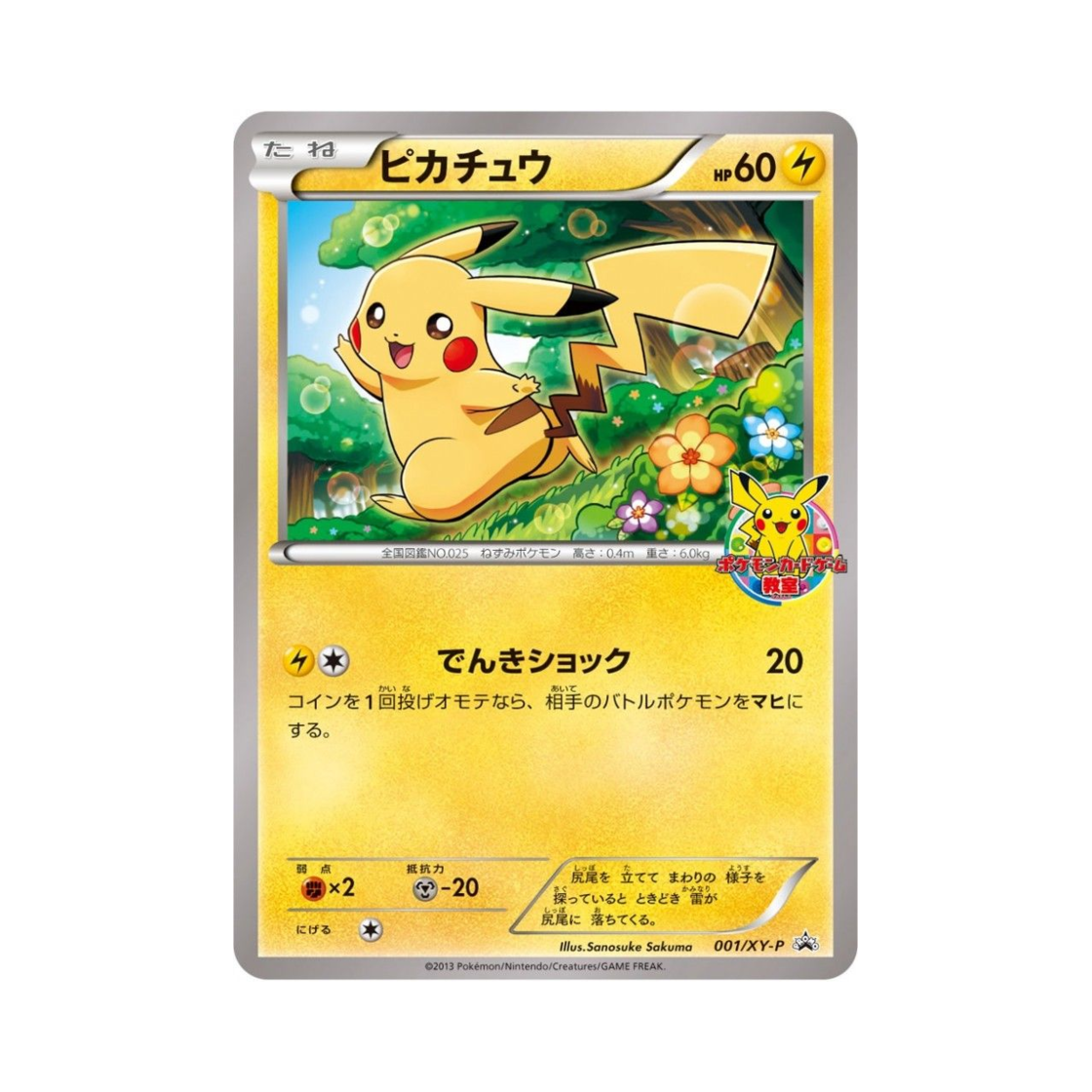 PROMO001-XY-P Pokemon TCG Pikachu P XY Promos (Japanese Ver.)