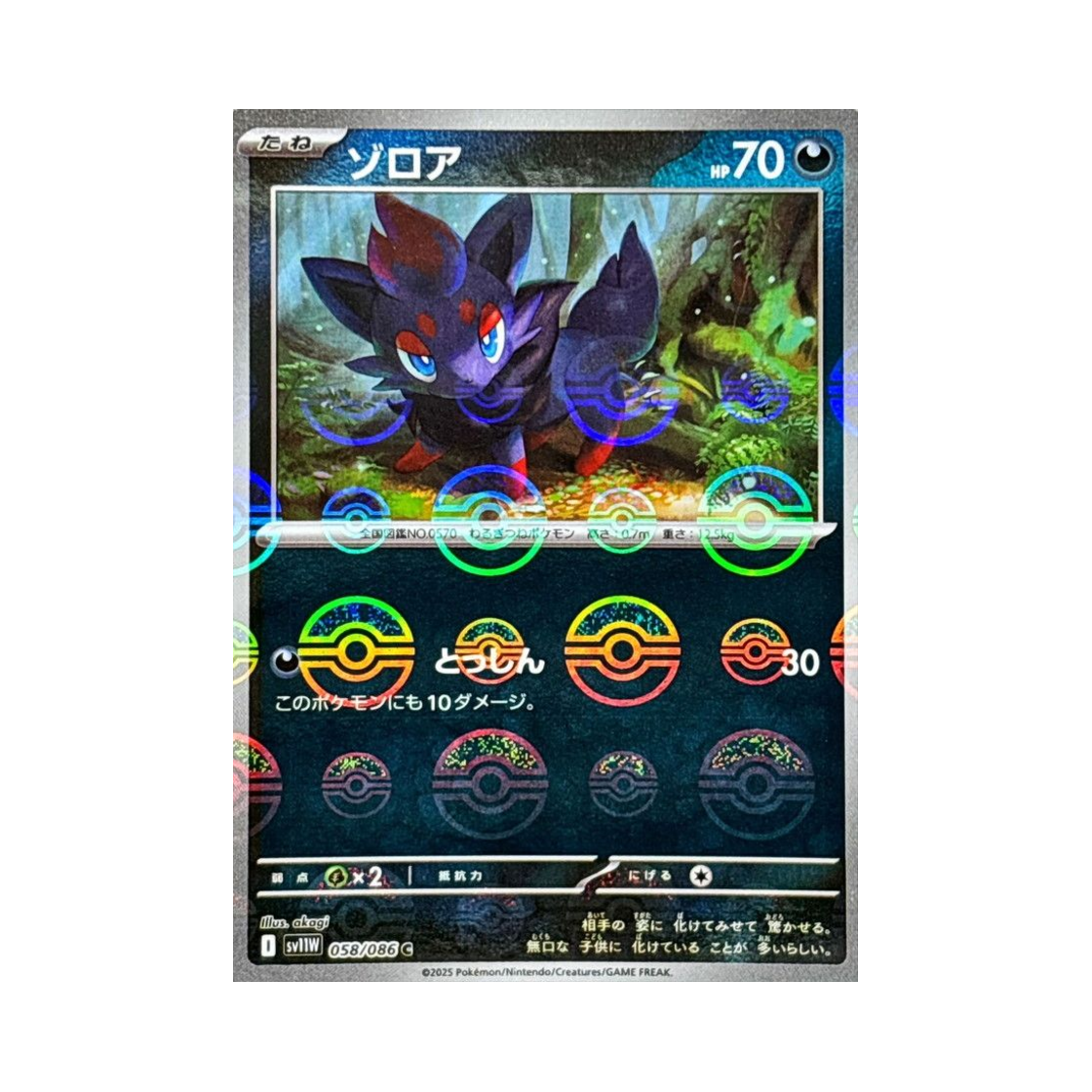 포켓몬 TCG 조로아 C 몬스터볼 미러 화이트 플레어 (일어판)(Pokemon TCG Zorua C Monsterball Mirror White Flare (Japanese Ver.)) - 1