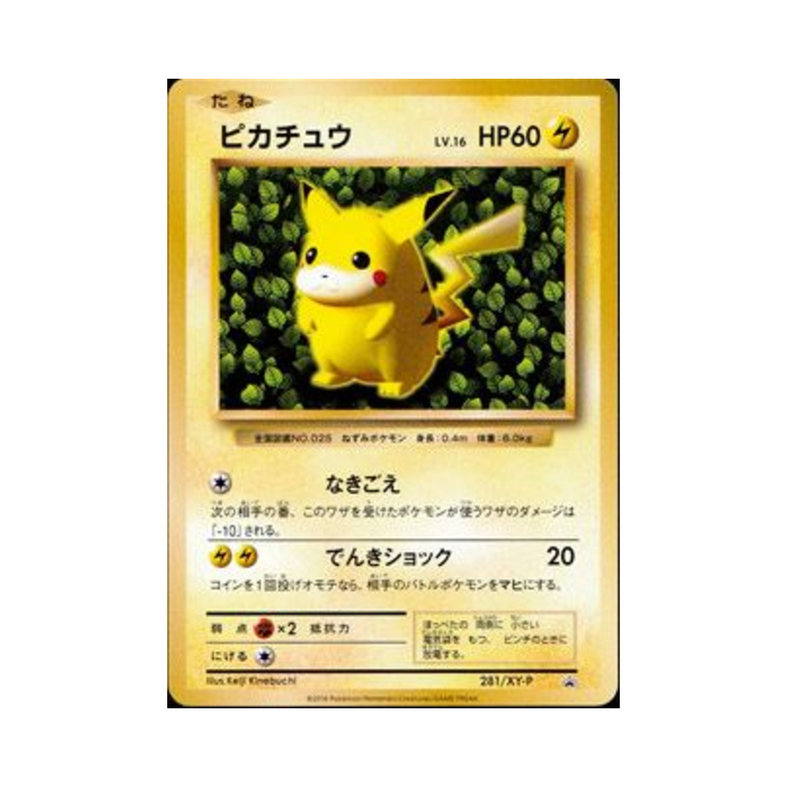 PROMO281-XY-P Pokemon TCG Pikachu P XY Promos (Japanese Ver.)