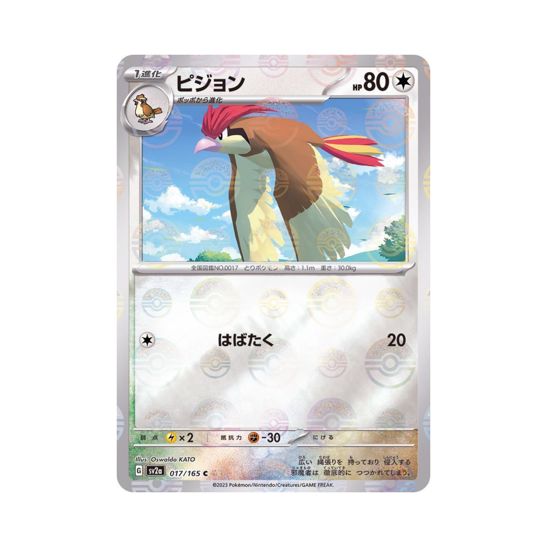 포켓몬 TCG 피죤 C 몬스터볼 미러 포켓몬 카드 151 (일어판)(Pokemon TCG Pidgeotto C Monsterball Mirror Pokemon Card 151 (Japanese Ver.)) - 1