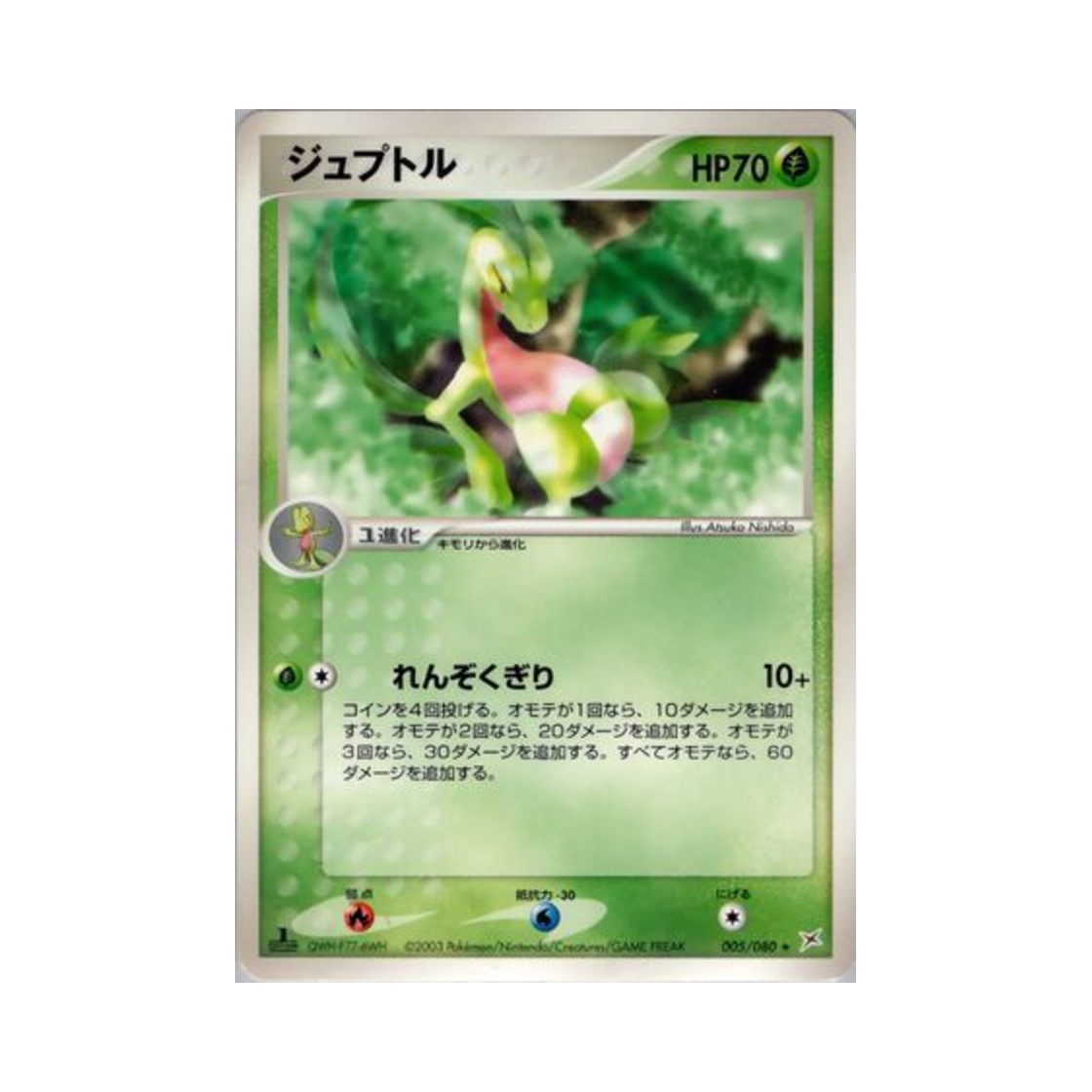 포켓몬 TCG 나무돌이 R 마그마 VS 아쿠아: 두 야망(일어판)(Pokemon TCG Grovyle R Magma Vs Aqua: Two Ambitions (Japanese Ver.)) - 1