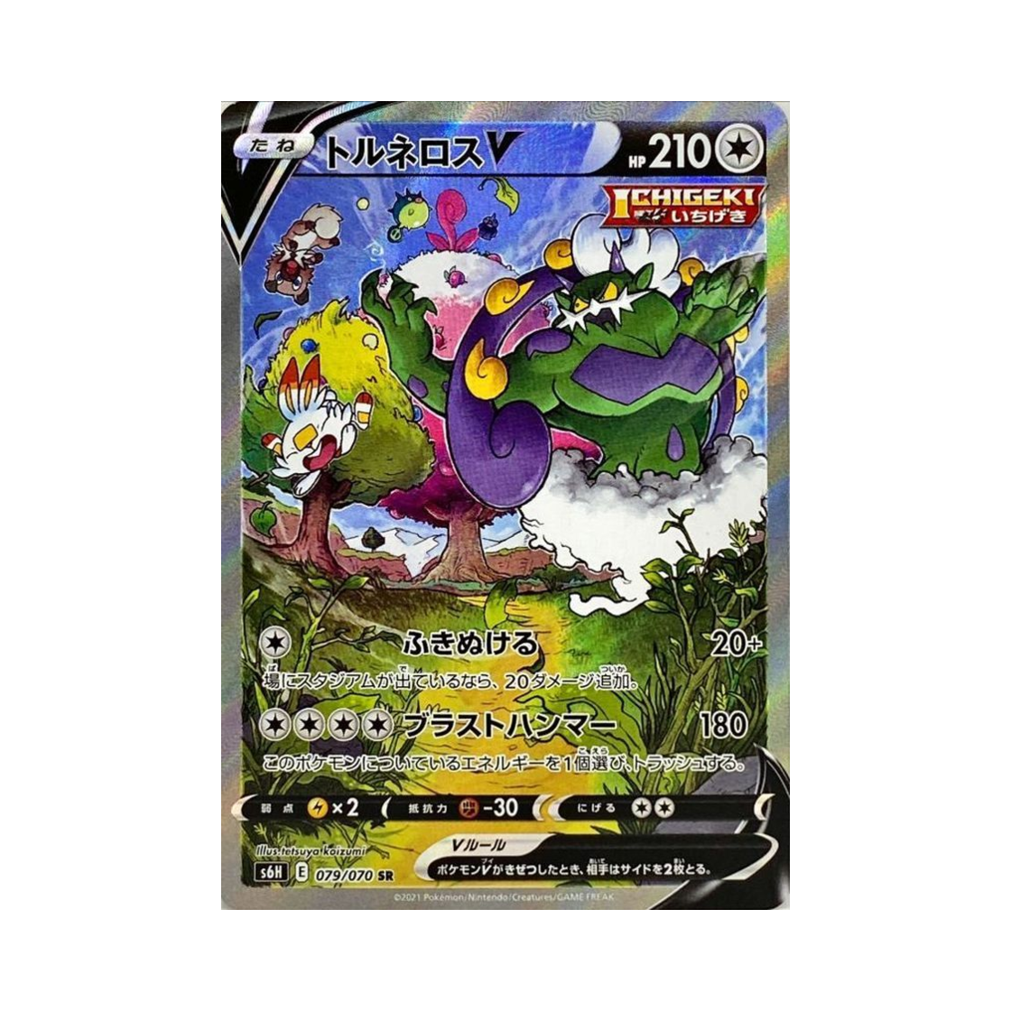 S6H079-070 Pokemon TCG Tornadus V SR Silver Lance (Japanese Ver.)