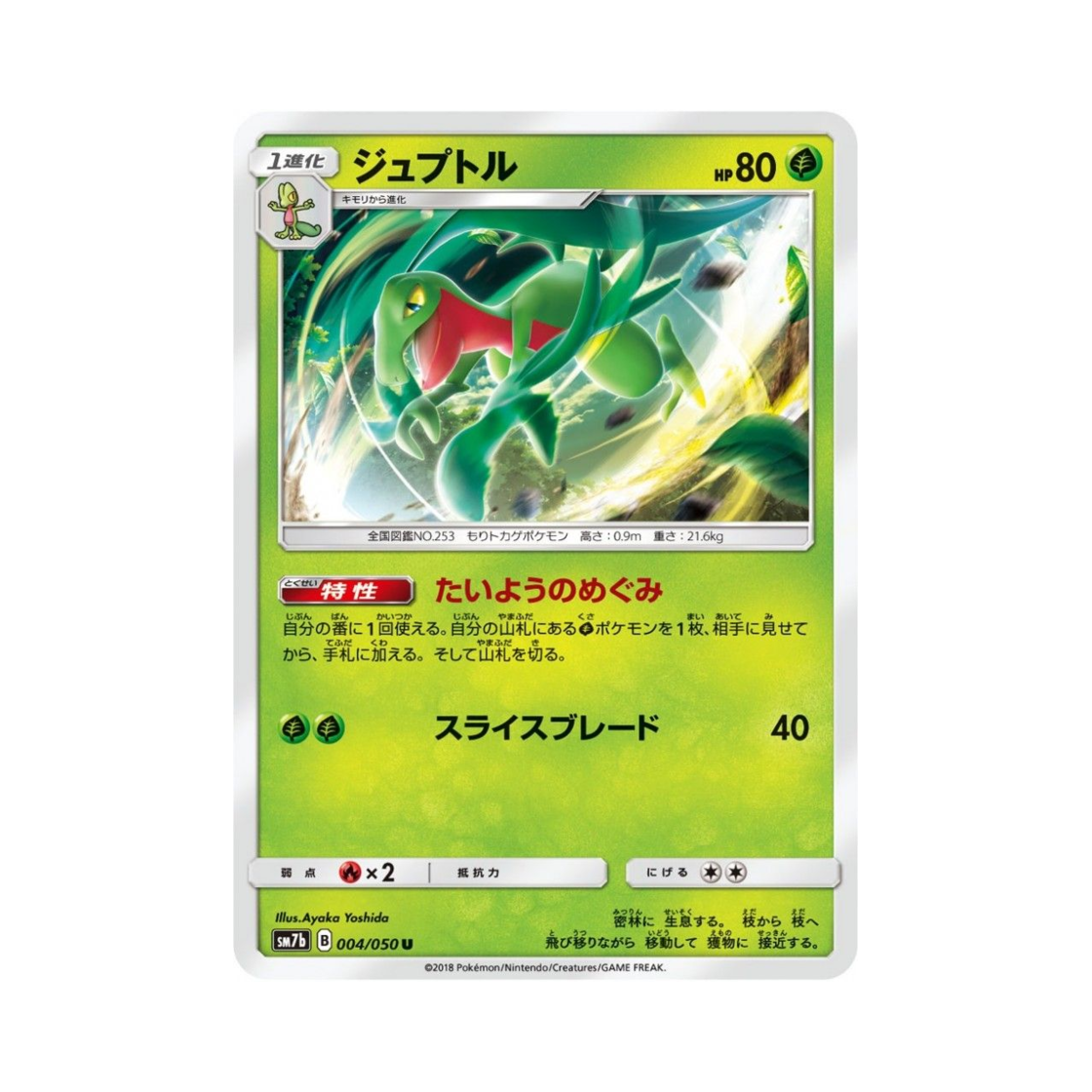 포켓몬 TCG 나무돌이 U 페어리라이즈 (일어판)(Pokemon TCG Grovyle U Fairy Rise (Japanese Ver.)) - 1