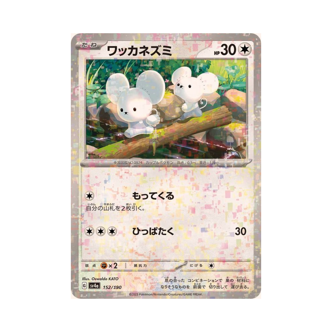 포켓몬 TCG 두리쥐 미러 샤이니 트레져 ex (일어판)(Pokemon TCG Tandemaus Mirror Shiny Treasure ex (Japanese Ver.)) - 1