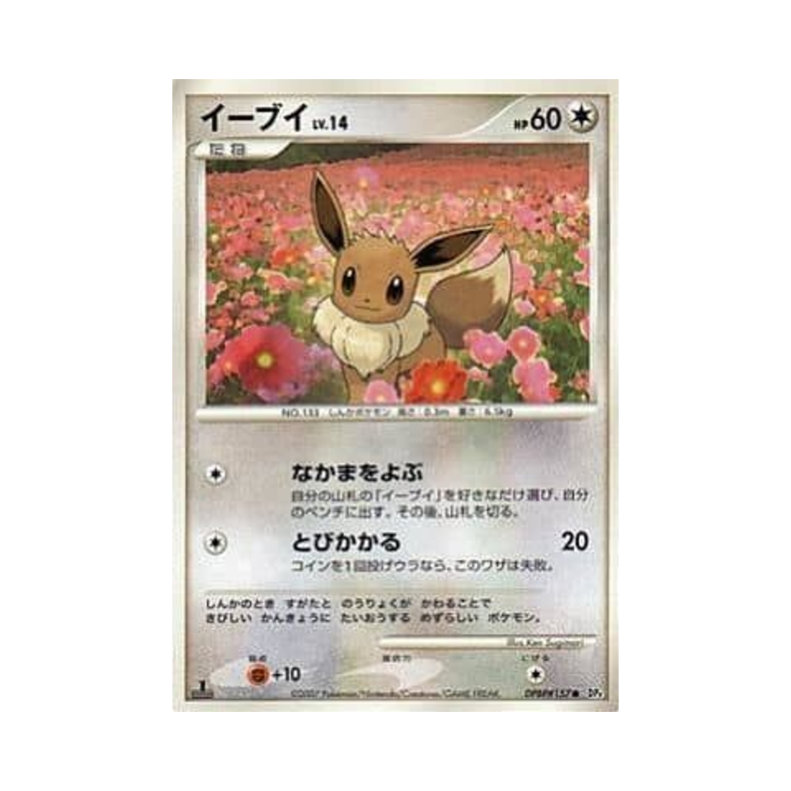 포켓몬 TCG 이브이 C 던 대쉬 문릿 퍼슈트 (일어판)(Pokemon TCG Eevee C Dawn Dash Moonlit Pursuit (Japanese Ver.)) - 1